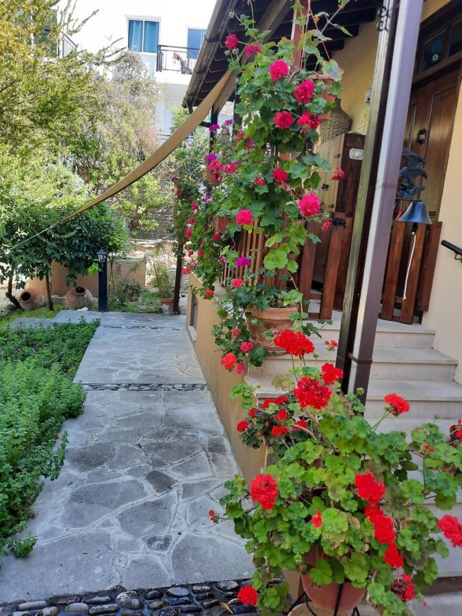 Вілла Vasilion Agrotourism Polis Екстер'єр фото