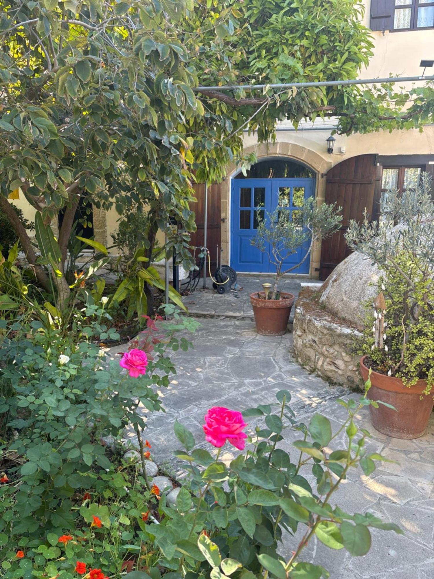 Вілла Vasilion Agrotourism Polis Екстер'єр фото