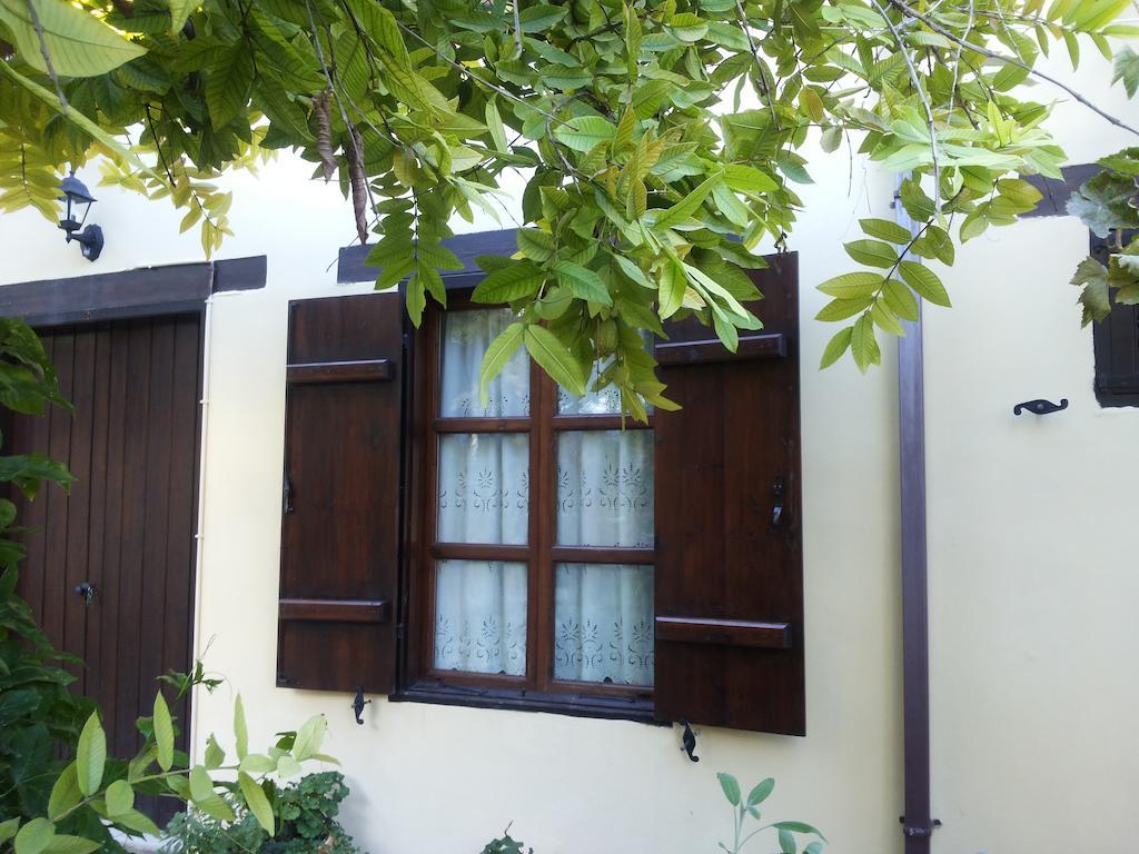 Вілла Vasilion Agrotourism Polis Номер фото